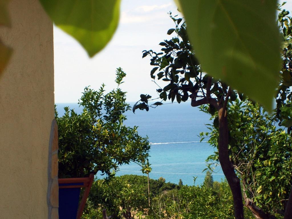 Goddess Yard Villa Tropea Kültér fotó